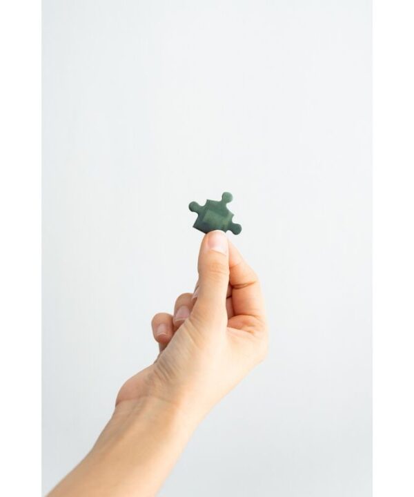 Puzzle Harry Potter y la Camara Secreta Harry Potter 500pzs - Imagen 2