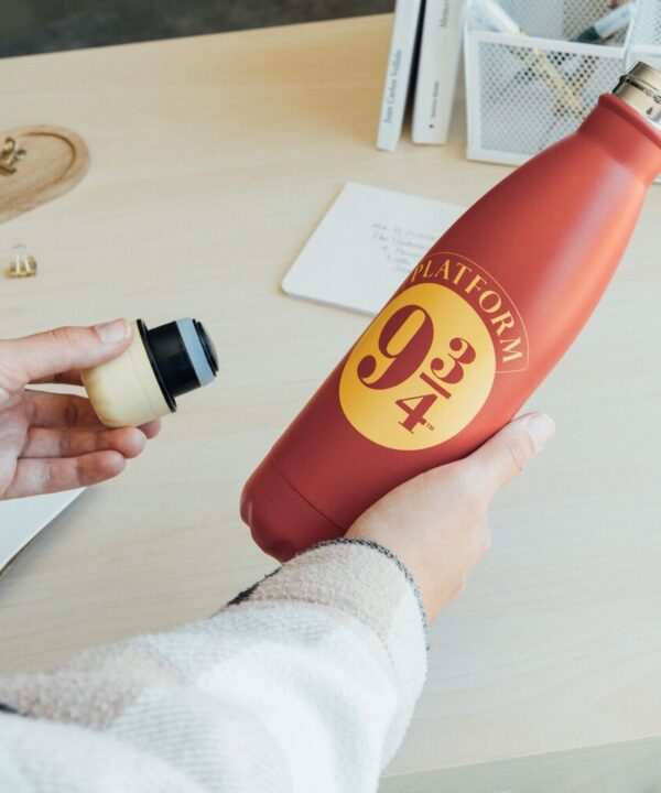 Botella acero inoxidable Plataforma 9 3/4 Harry Potter 500ml - Imagen 6
