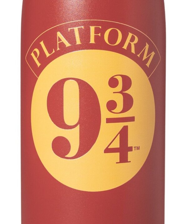 Botella acero inoxidable Plataforma 9 3/4 Harry Potter 500ml - Imagen 7