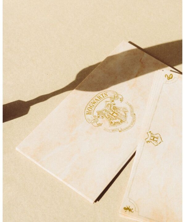 Blister Boligrafo Pluma + Cartas Harry Potter - Imagen 6