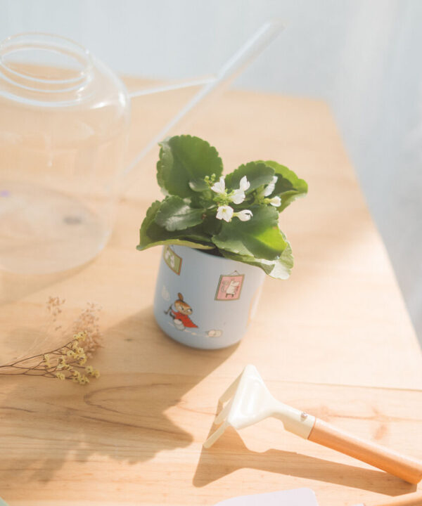 Portalapices Moomin - Imagen 5